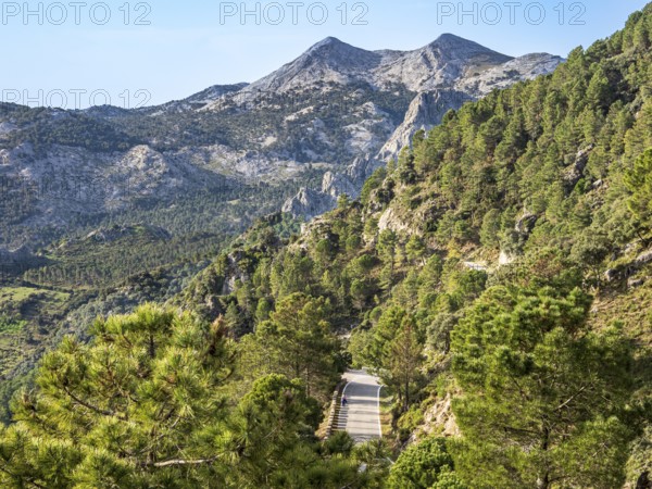 Mountain road, Sierra de Grazalema, Andalusia, Spain