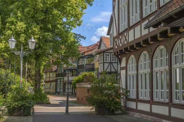 Half-timbered idyll of the old town of Bad Sooden, Allendorf, district Bad Sooden, townscape, restored half-timbered houses, pedestrian zone, flower pots, street lamps, trees, blue sky, clouds, Werra-Meissner-Kreis, Hesse, Germany
