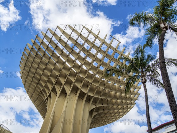 Setas de Seville, mushroom-shaped wooden platform, Seville, Andalusia, Spain