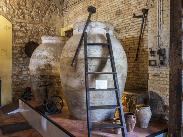 Museo del Aceite, olive oil museum and shop, village Cabra, Andalusia, Spain