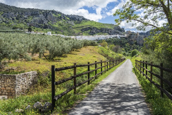 Cycle path via verde del aceite, below Zuheros castle and village, Sierras Subbéticas, Zuheros, Córdoba province, Andalusia, Spain