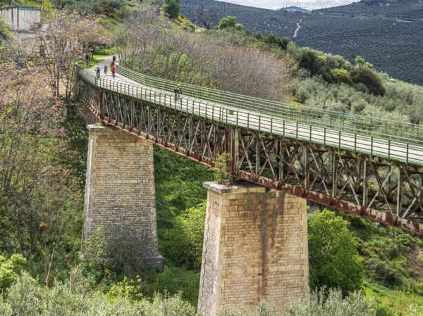 Cyclist on a bridge, cycle path Via Verde Del Aceite, old railroad track leading over a bridge, at village Zuheros, Andalusia, Spain