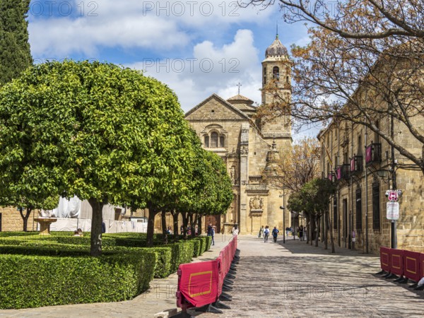 Capilla del Salvador (church), street prepared for semana santa procession, Ubeda, UNESCO World Heritage Site, Province of Jaen, Andalusia (Andalucia), Spain