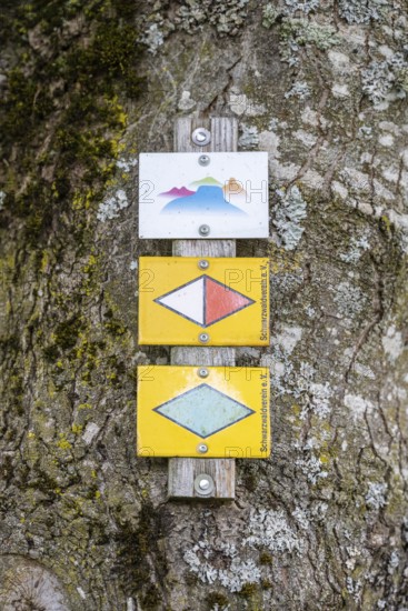 Schilder, Wegweiser, vom Schwarzwaldverein, der sich der Pflege und Markierung von Wanderwegen widmet. Das obere Schild zeigt stilisierte Hegauberge und markiert einen Aussichtspunkt der Wannenbergtour, ein regionaler Premium-Wanderweg, Landkreis Konstanz, Baden-Württemberg, Deutschland