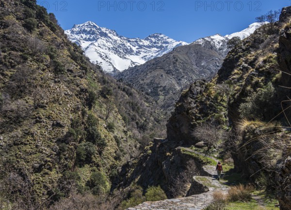 Woman hiking on trail Vereda de la Estrella, snow-covered mountain range in early spring, Sierra Nevada, Andalusia, Spain