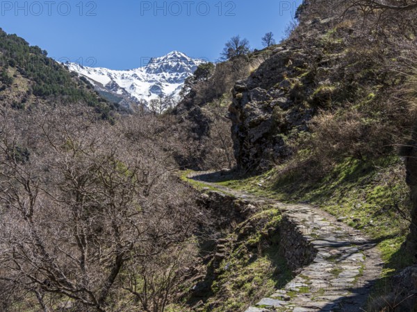 Hiking trail Vereda de la Estrella, snow-covered mountain range in early spring, Sierra Nevada, Andalusia, Spain