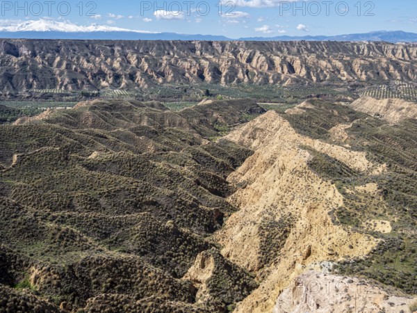 Canyons and gorges near village Gorafe, Gorafe Desert, UNESCO Granada Geopark, Granada province, Andalusia, Spain