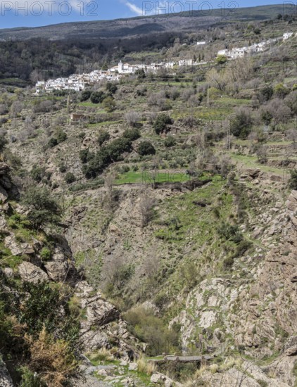 Village Busquistar, view over the gorge of river Rio Trevelez, Sierra Nevada, Andalusia, Spain