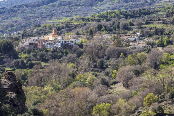 Village Ferreirola, whitewashed village, Alpujarra, Sierra Nevada, Andalusia, Spain