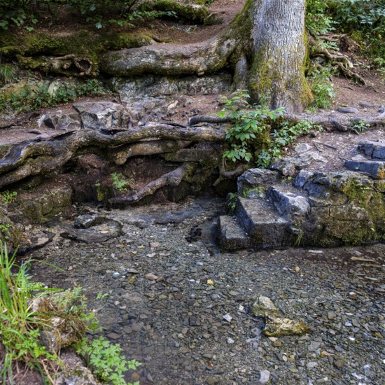 Filsursprung, source of the Fils and karst spring near Wiesensteig, Swabian Alb, Baden-Württemberg, Germany
