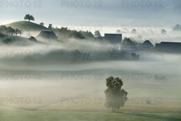 Autumn fog atmosphere in Swiss Plateau or Central Plateau, Hirzel, Canton of Zurich, Switzerland