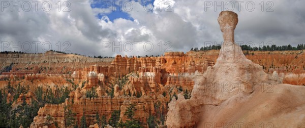 Thor's Hammer, a sandstone pillar or hoodoo formed by erosion in the Queens Garden, Bryce Canyon National Park, Utah, United States