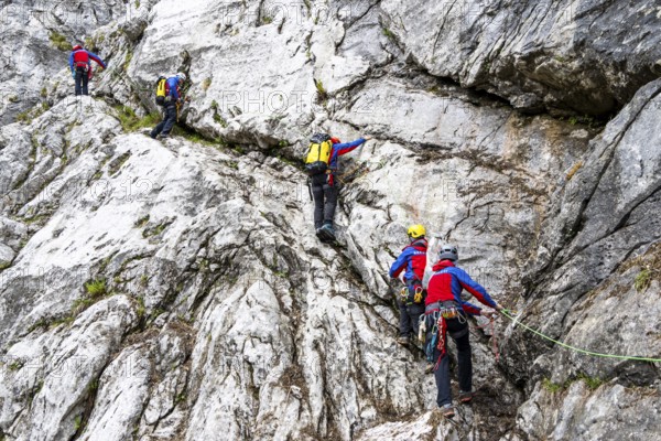 Mountain rescuers from Bergwacht Bayern climbing a steep rock face on Hoher Göll, Berchtesgaden, Berchtesgadener Land, Upper Bavaria, Bavaria, Germany