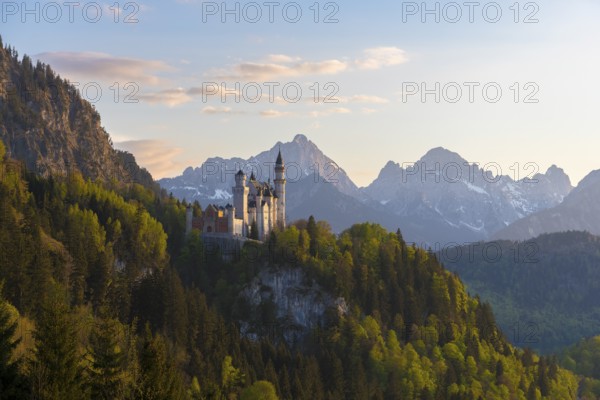Castle rises majestically in front of an alpine panorama in the evening, Neuschwanstein, Schwangau near Füssen, Ostallgäu district, Swabia, Bavaria, Germany