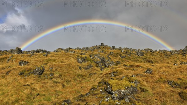 Rainbow, lava field, grass and lichens, Iceland