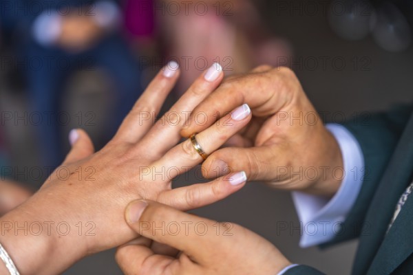 Groom gently placing golden wedding ring on bride's finger during wedding ceremony, symbolizing their union and commitment