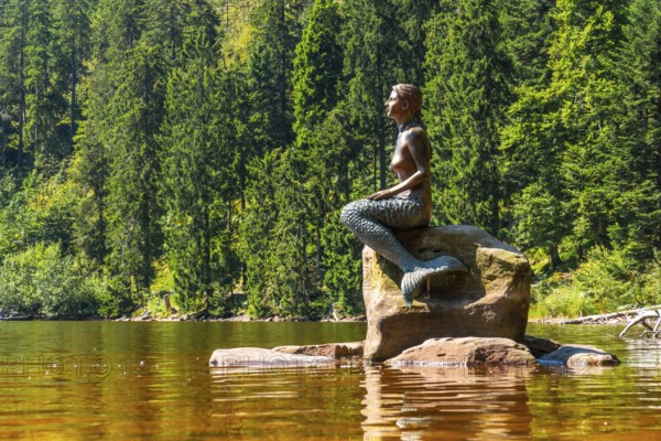 Beautiful landscape with the mermaid sculpture in summer at Mummel Lake or mummelsee, Black Forest, Germany