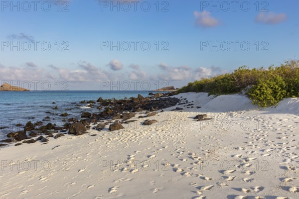 Gardner Bay beach, Isla Española, Galapagos, Ecuador