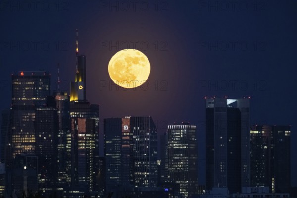 The full moon passes behind the Frankfurt banking skyline, Frankfurt am Main, Hesse, Germany
