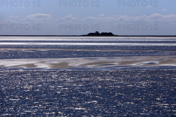 Schleswig-Holstein Wadden Sea National Park with a terp on the Hallig Langeness, North Frisia, Germany