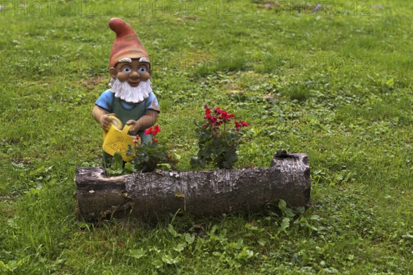 Garden gnome with watering can, Streitweider Alm, Taser Höhenweg, Schenna, Scena, South Tyrol, Autonomous Province of Bolzano, Italy