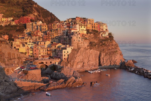Townscape, Manarola, Cinque Terre, Rivera di Levante, Province of La Spezia, Liguria, Italy
