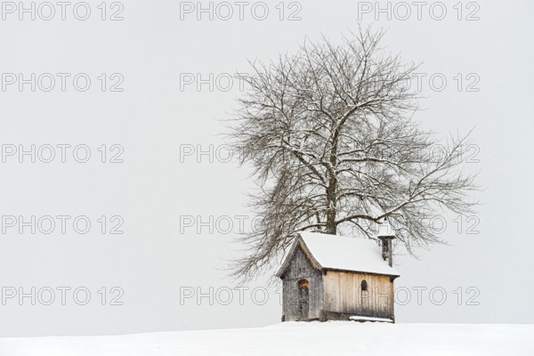 Kupfererkapelle in snow, chapel, snowing, Gallzein, Tyrol, Austria