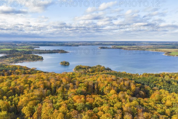 Aerial view, drone photo: Parsteiner See, also Parsteinsee, with surrounding forest in yellow and red autumn colours, Barnim and Uckermark, Brandenburg, Germany