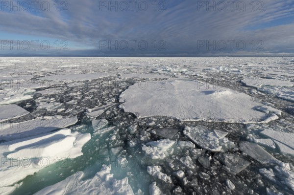 Edge of pack-ice, Arctic Ocean, Spitsbergen Island, Svalbard Archipelago, Svalbard and Jan Mayen, Norway