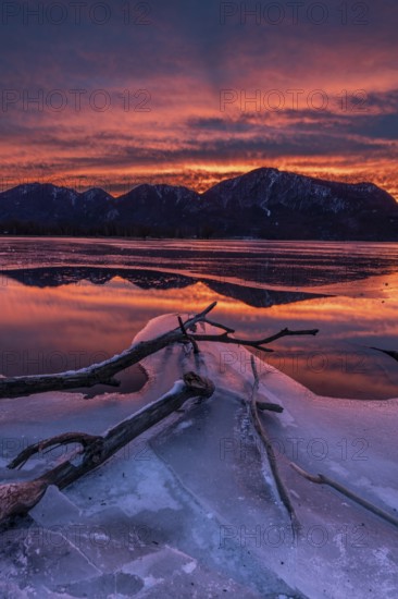 Dawn, mountains reflected in lake, clouds, ice, frozen, winter, Lake Kochel, view of Rabenkopf, Sonnenspitz, Jochberg, Alpine foothills, Bavaria, Germany