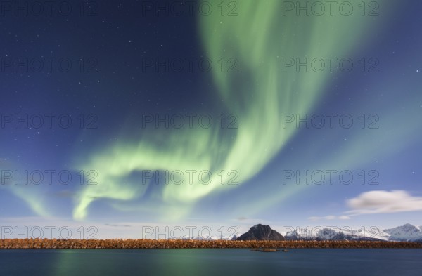 Northern Lights, Aurora Borealis, Haukland Beach, behind Sandoya Island, Vestvågøy, Lofoten, Norway