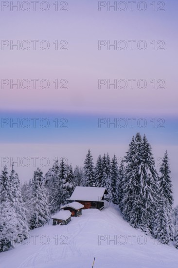 Sunrise snow tour on the Tegelberg in the Allgäu in Bavaria. Winter Wonder Land, Germany