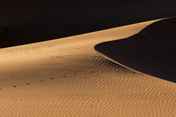 Sand dune, Namib Desert, Namibia