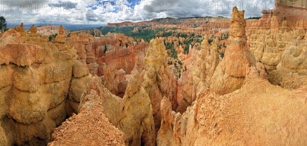 Amphitheater with sandstone pillars or hoodoos, landscape formed by erosion, Bryce Canyon National Park, Utah, United States