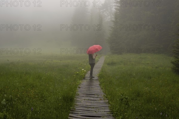 Woman 60-65 with umbrella in the Hühnermoos on a cloudy day with fog, a high moor at the Söllereck near Oberstdorf, Allgäu Alps, Allgäu, Bavaria, Germany