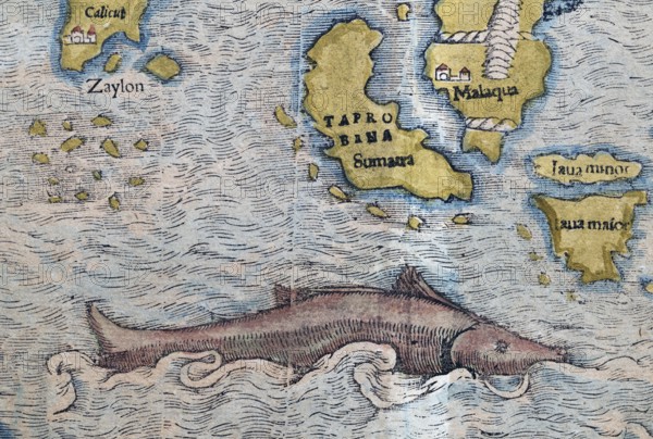 South India, Sumatra, Malaysia, sea monster, detail, hand-coloured woodcut map from Sebastian Münster Cosmographey oder Beschreibung aller Länder, Basel 1578
