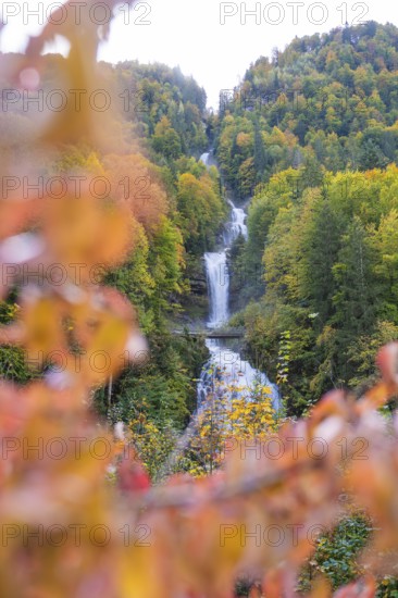 Large waterfall in an autumnal forest with colourful leaves in the foreground, Grandhotel Giessbach, Lake Brienz, Switzerland