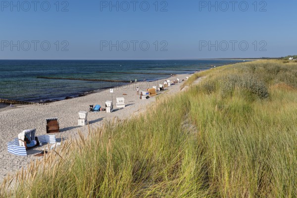 Hohes Ufer, Ahrenshoop, Fisch-Darß-Zingst peninsula, Mecklenburg-Western Pomerania, Germany, Ahrenshoop, Mecklenburg-Western Pomerania, Germany