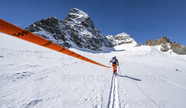 Ski tourer with rope, rope team on the Vadret da Porchabella glacier on the ascent to the summit of Piz Kesch, mountain landscape in winter, alpine tour, ski tour Bündner Haute Route, Albula Alps, Rhaetian Alps, Grisons, Eastern Switzerland, Switzerland