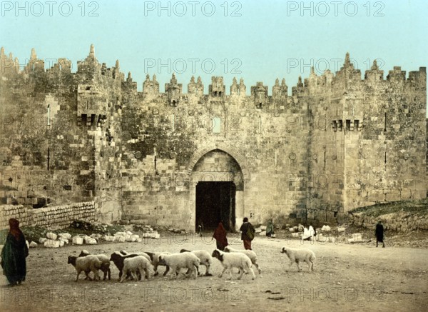 The Damascus Gate, Jerusalem, Holy Land, Israel, c. 1890, Historic, digitally restored reproduction from a 19th century original, The Damascus Gate, Holy Land, 1890, Historic, digitally restored reproduction from a 19th century original
