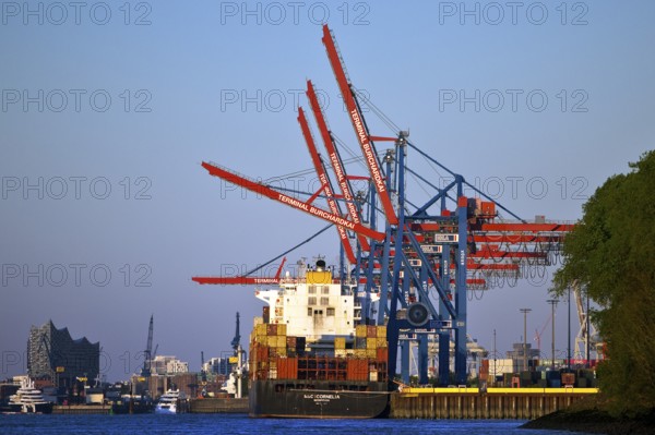 Container ship MSC Cornelia at the Burchardkai container terminal with the Elbphilharmonie concert hall in the background, Port of Hamburg, Germany
