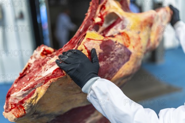Close-up of worker hand and meat in cold storage room in a meat processing factory