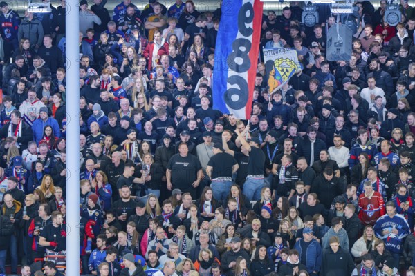 Cheering spectators in a stadium with flags held high, Heilbronner Falken Vs Bietigheimer Steelers, Heilbronn, Germany