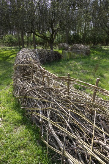 Benjes hedge, garden, Anne Hathaway's Cottage, Shottery, Stratford-upon-Avon, Warwickshire, England, United Kingdom
