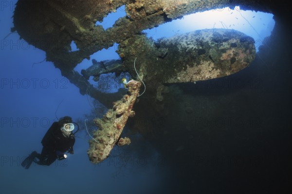 Diver looking at ship's propeller, propeller backlit by the sun, fouling with spiny oyster (Spondylus varius), British Loyalty, wreck, shipwreck, torpedoed on 09.03.1944 by U-183, heavily damaged, self-sunk on 15.01.1946, Indian Ocean, Addu Atoll also Senu Atoll, Maldives