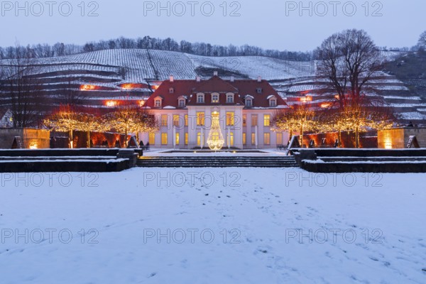 Wackerbarth's winter magic, castle and vineyards with Christmas lights and snow, Radebeul, Saxony, Germany