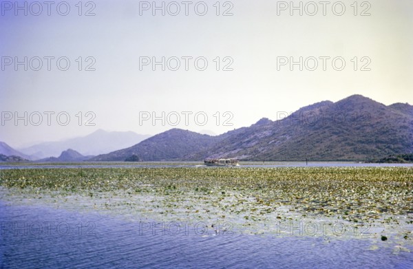 Boat trip onLake Shkodra Lake Skadar Lake Scutari, between Albania and Montenegro, former Yugoslavia, Europe 1970