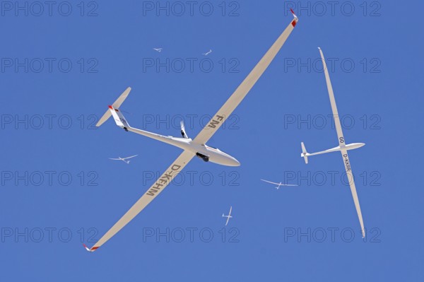 Glider, many, thermal, circling, upwind, flying, air sports, gliding