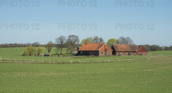 Farm at green field and blue sky in springtime in Ystad Municipality, Skåne County, Sweden, Scandinavia