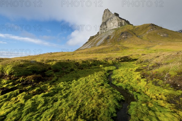 Alkhornet mountain, Trygghamna bay, Isfjorden fjord, Spitsbergen, Svalbard Islands, Svalbard and Jan Mayen, Norway